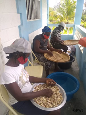 Haiti Earthquake Subsidy（FY2021）：Training in processing cashew nuts(de-grain works)