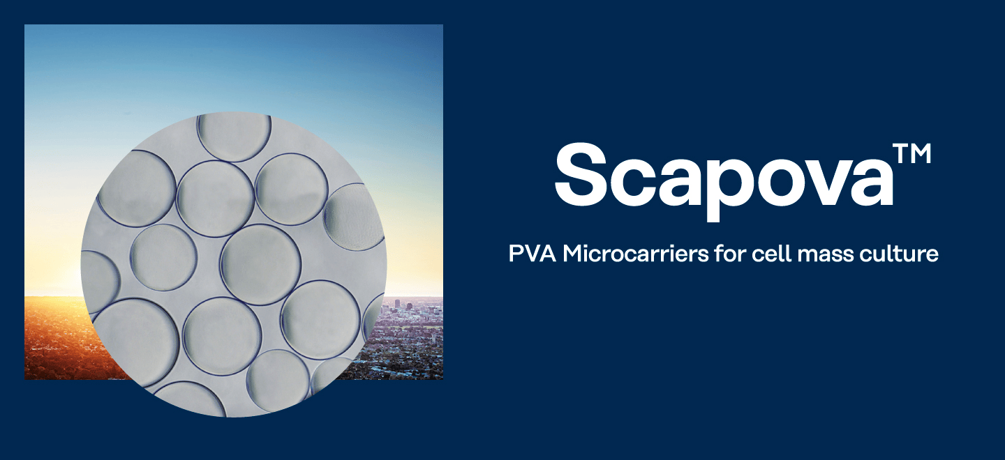 Scapova TM PVA Microcarriers for cell mass culture