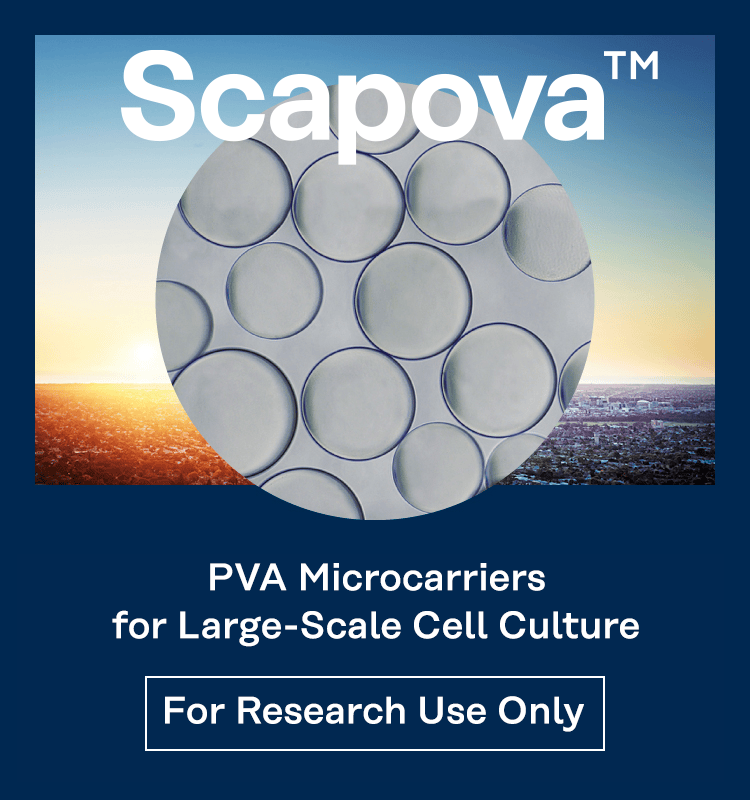 Scapova TM PVA Microcarriers for cell mass culture