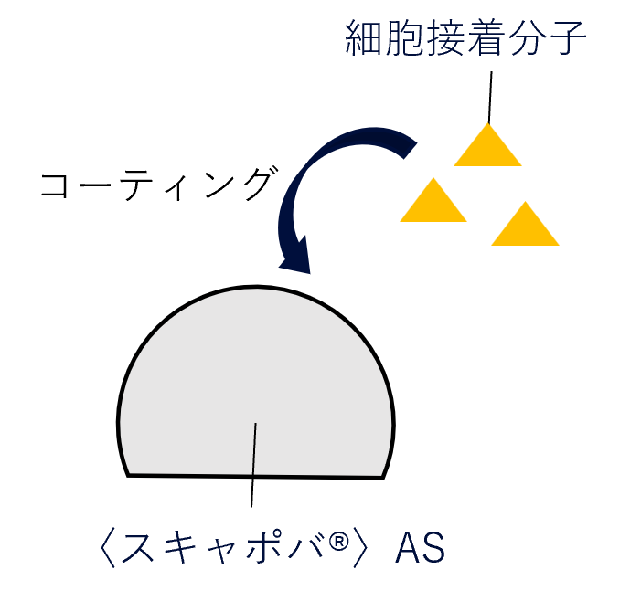 〈スキャポバ®〉AS